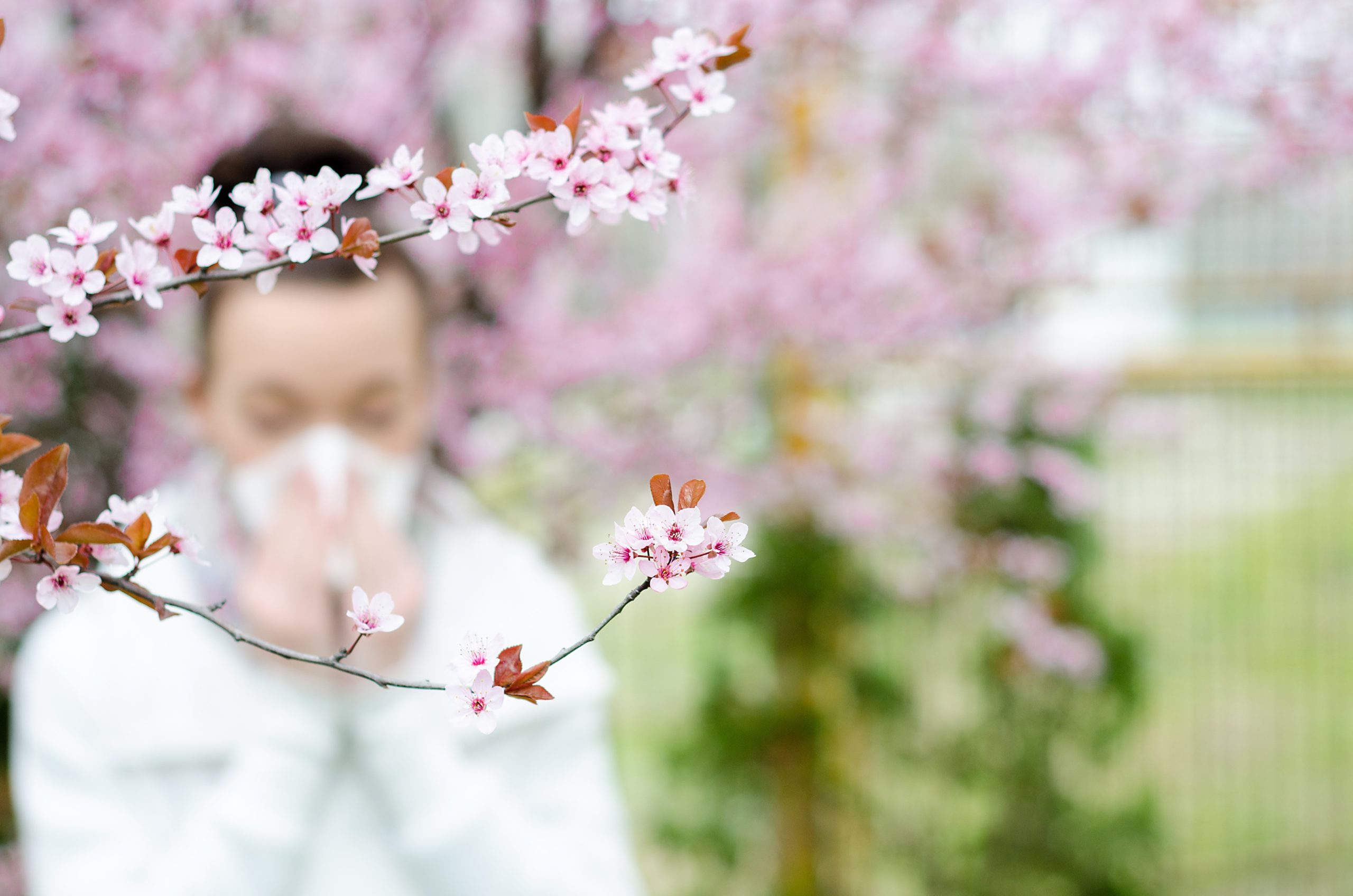 Allergic reactions to spring flowers, pollen, ragweed,